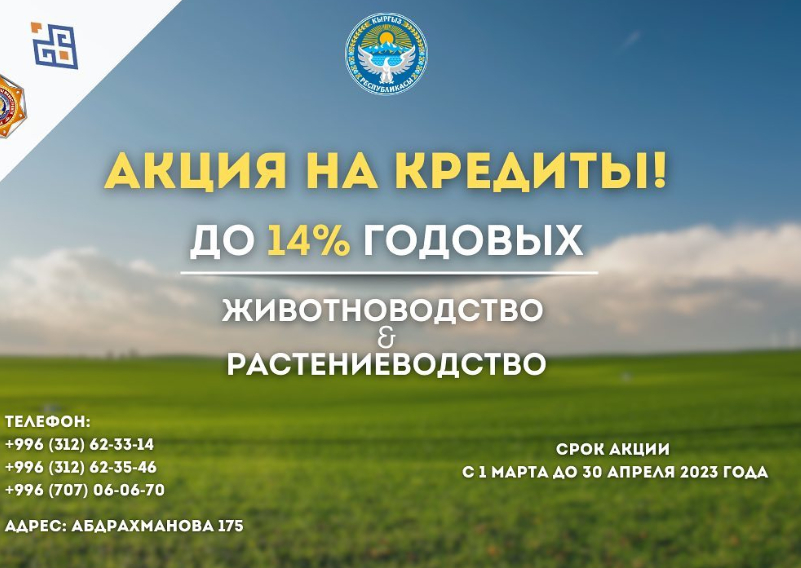 Новые кредитные продукты для поддержки населения в сельской местности