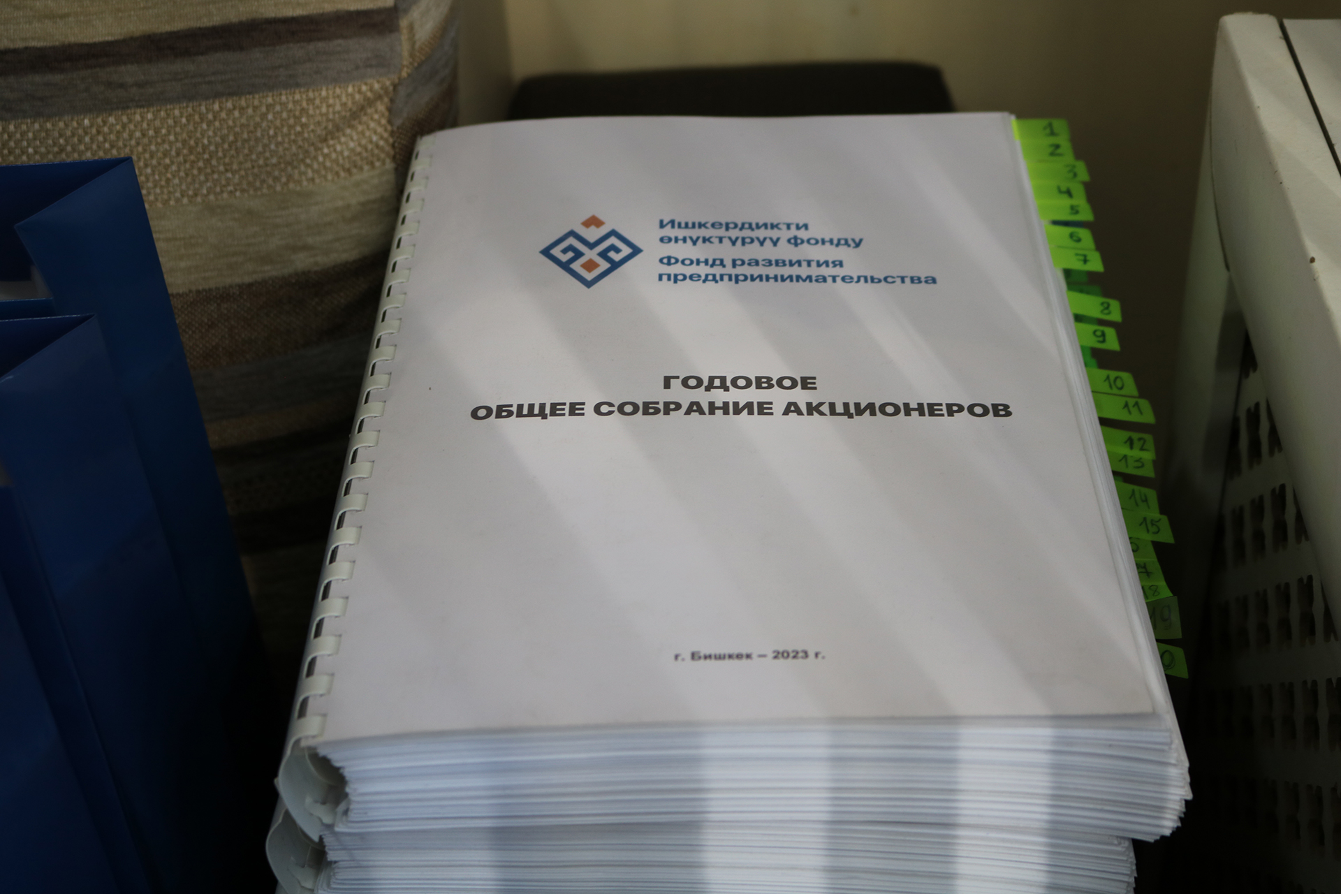 Годовое общее собрание акционера