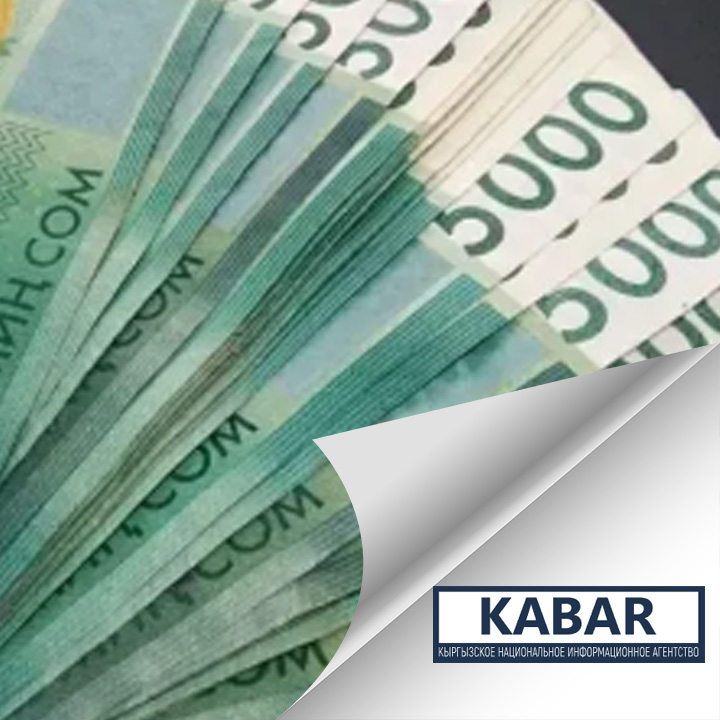 Мамлекет ишкерлерге жеңилдетилген насыя берүүгө 500 млн сом бөлдү