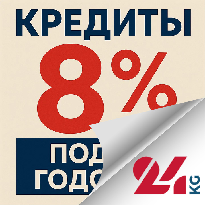 В Кыргызстане начали выдавать кредиты под 8 процентов. Кто его может получить
